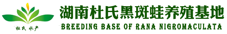 杜氏黑斑蛙养殖基地logo